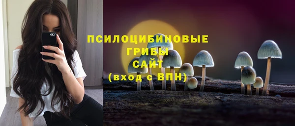 синтетический гашиш Богородск
