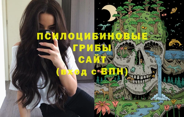 синтетический гашиш Богородск