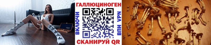 Галлюциногенные грибы Psilocybe Колпашево