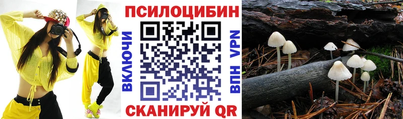 Псилоцибиновые грибы Psilocybine cubensis  Колпашево 