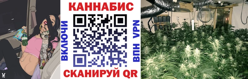 МАРИХУАНА тримм  Колпашево 